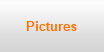 Pictures